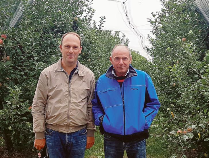 Cimice, &ldquo;senza aiuti sar&agrave; la fine&rdquo;