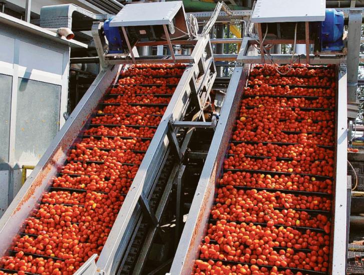 Il satellite per i campi di pomodoro