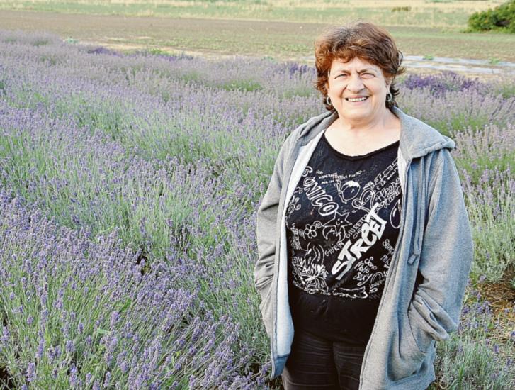 La lavanda &ldquo;spopola&rdquo; nel Delta