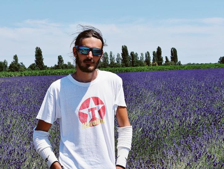 Vandali con l'auto sul campo di lavanda
