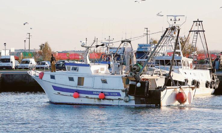 Meno 60 di produzione ittica La Voce di Rovigo