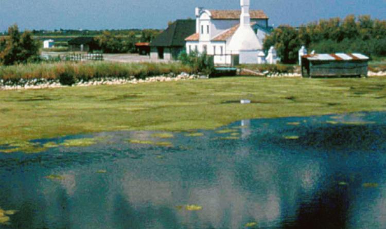 &ldquo;Serve un cambio di guida&rdquo;