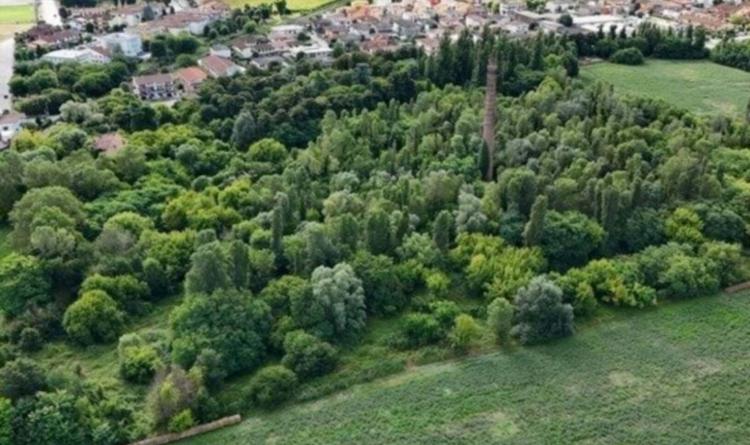 Una petizione per salvare il parco
