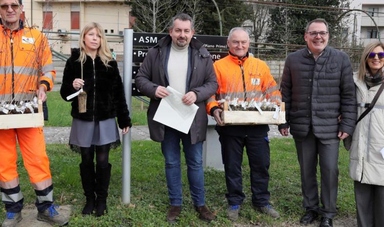 Le piante arrivano nelle case