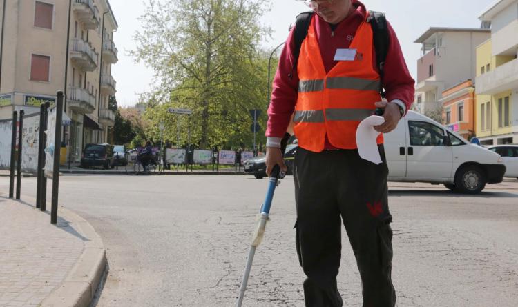 Scatta la guerra a topi e zanzare