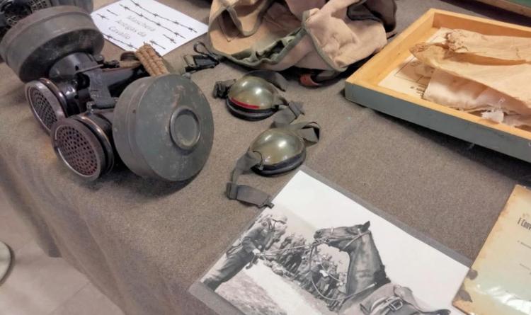 Anche gli animali hanno fatto la guerra