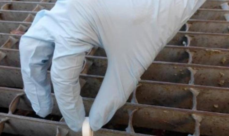 &ldquo;Ognuno deve fare la sua parte&rdquo;