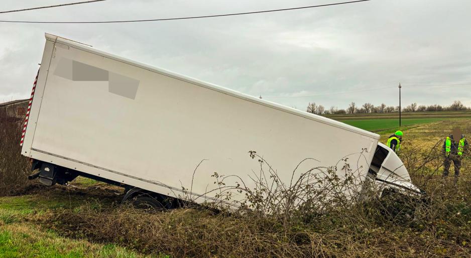 Fuoristrada sulla regionale