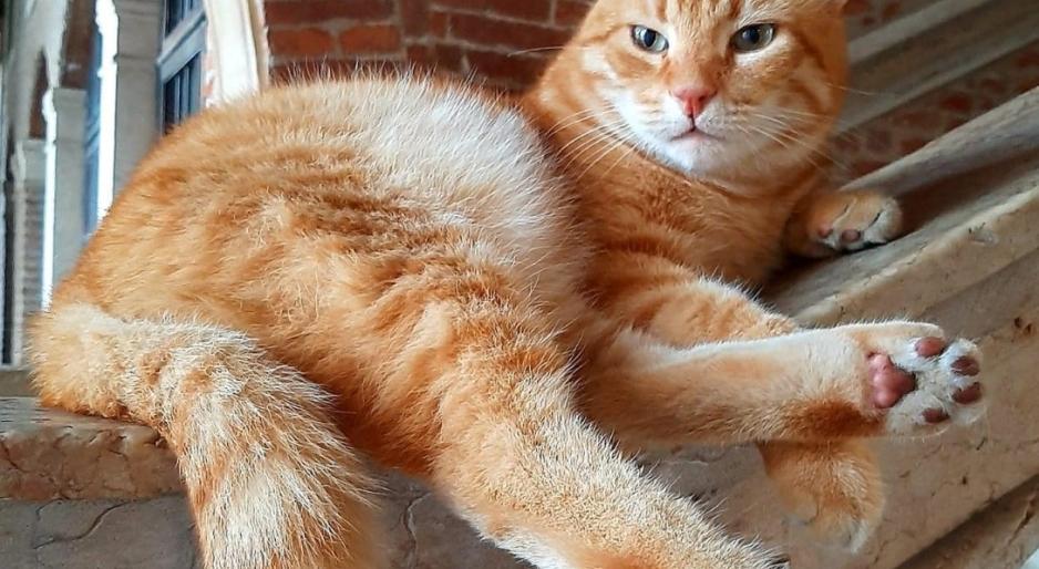 Addio Rossini, &ldquo;eri il simbolo della citt&agrave;&rdquo;