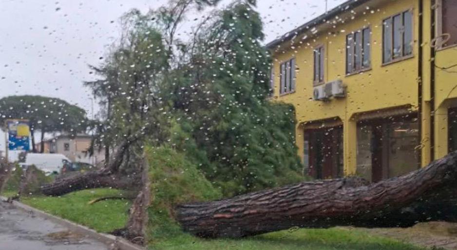 Tempesta di vento, gi&ugrave; alberi e danni