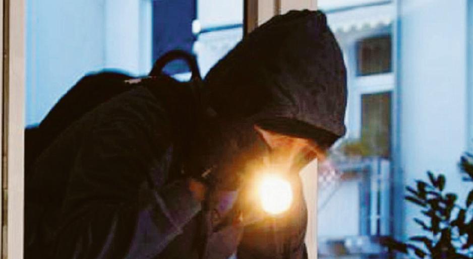 I ladri rischiano di mandare in tilt le idrovore