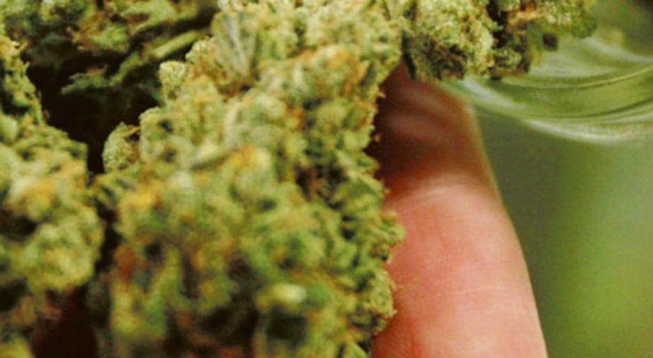 Marijuana per posta, operaio arrestato