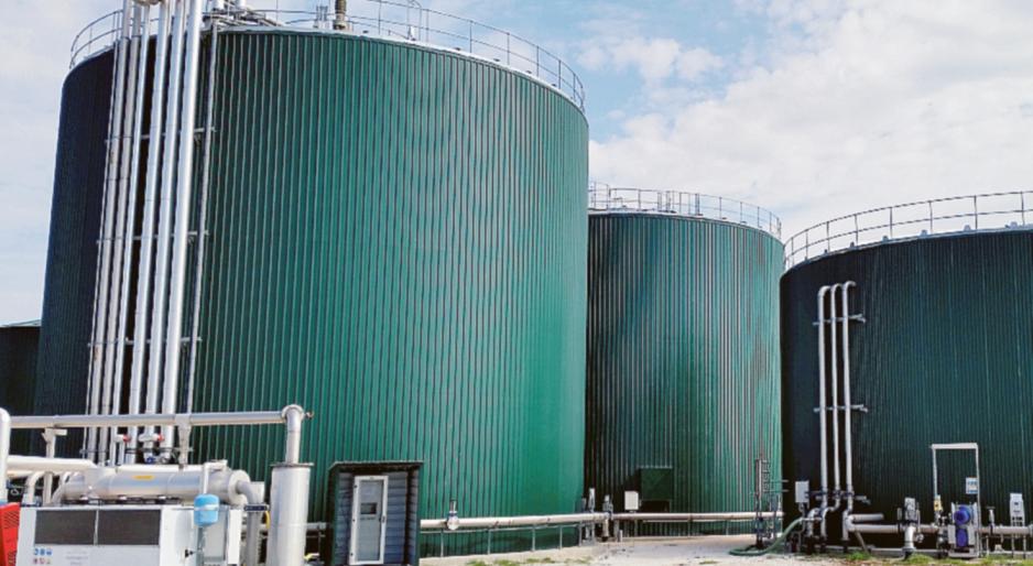 &ldquo;Biomasse, c&rsquo;&egrave; un&rsquo;altra richiesta&rdquo;