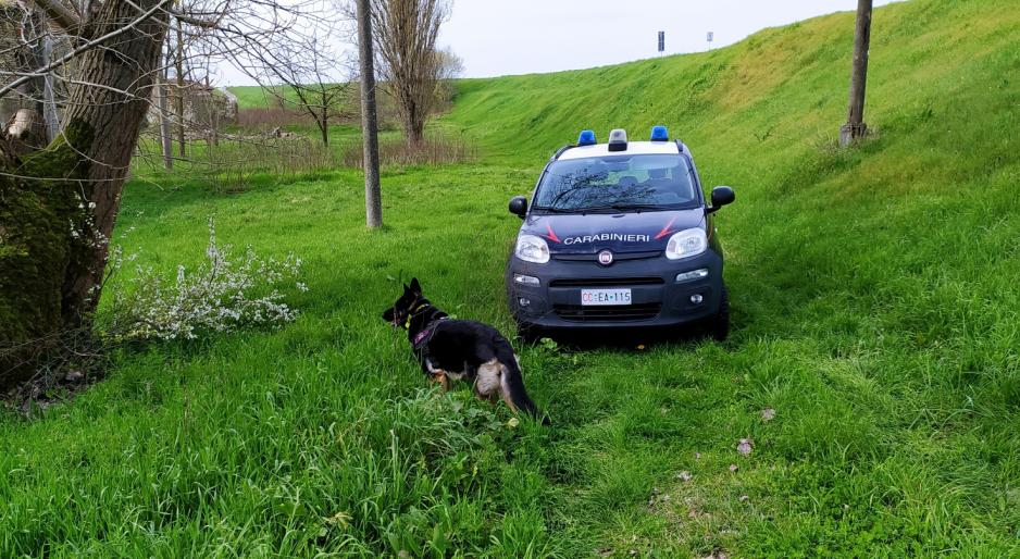Trovato un laboratorio della droga