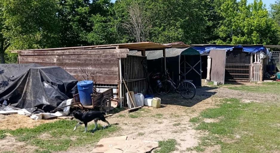 &ldquo;Noi tra baracche e teli improvvisati&rdquo;