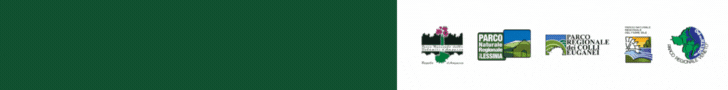 1754649022564.gif
